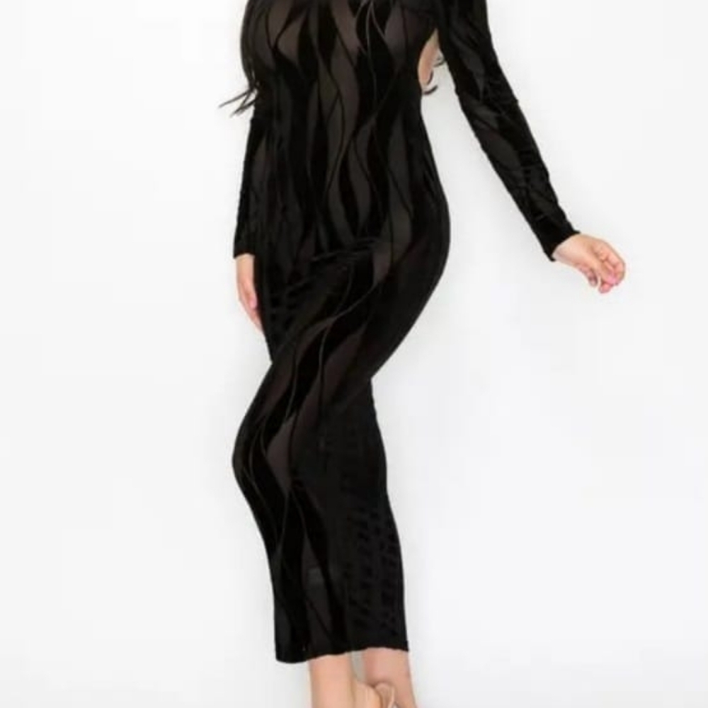 Elegant Black Sheer Long Sleeve Dress